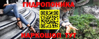 спайс Аргун