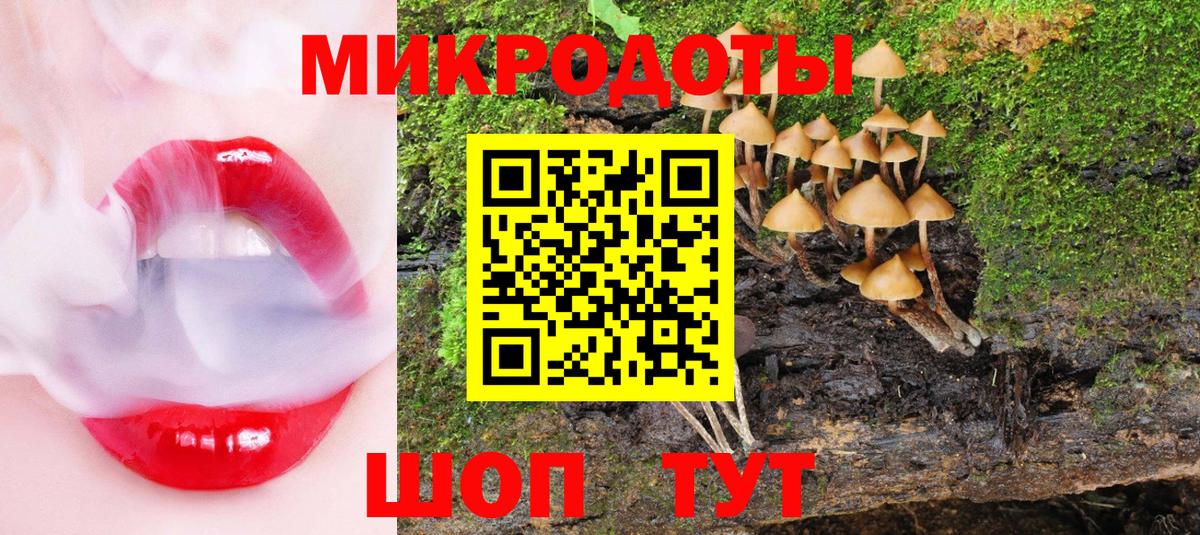 Псилоцибиновые грибы Psilocybine cubensis  Вход с VPN  Березники  Псилоцибиновые грибы Psilocybine cubensis 