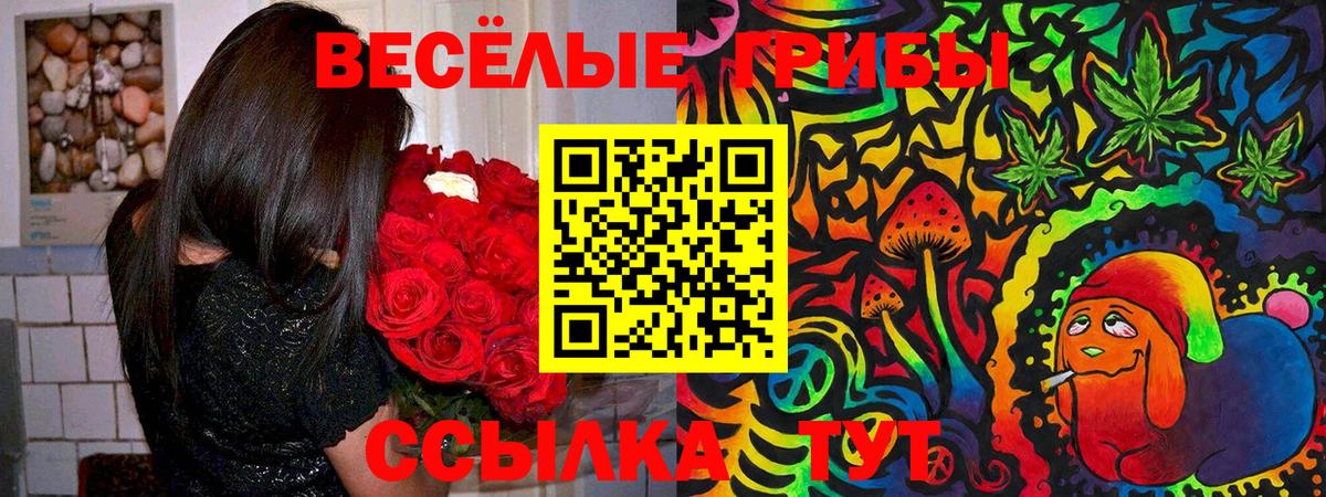 Псилоцибиновые грибы Psilocybine cubensis Березники